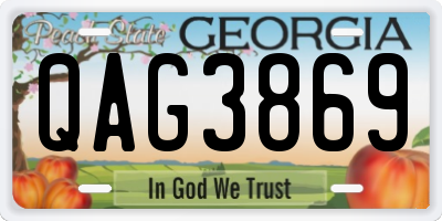 GA license plate QAG3869