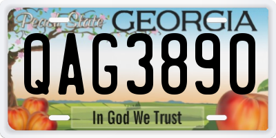 GA license plate QAG3890