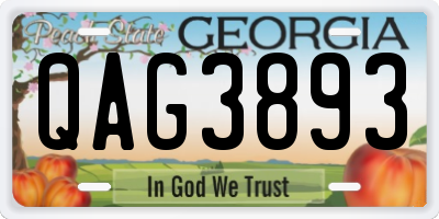 GA license plate QAG3893