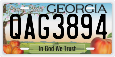 GA license plate QAG3894