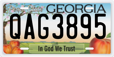 GA license plate QAG3895