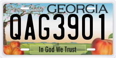 GA license plate QAG3901