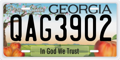 GA license plate QAG3902