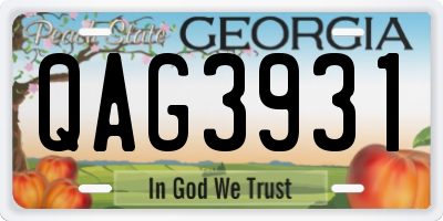 GA license plate QAG3931