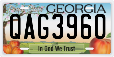 GA license plate QAG3960