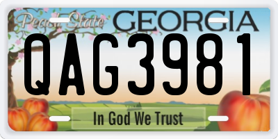 GA license plate QAG3981