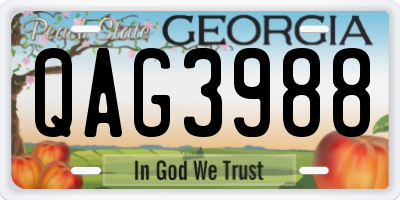 GA license plate QAG3988
