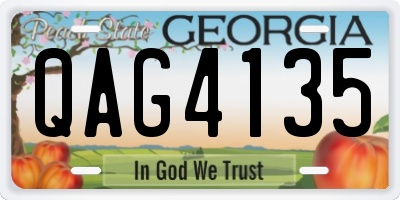 GA license plate QAG4135