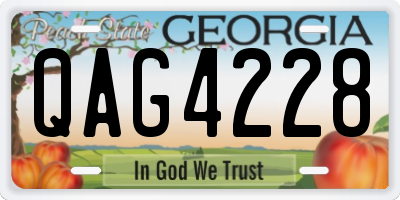 GA license plate QAG4228
