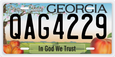 GA license plate QAG4229
