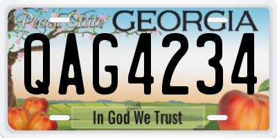 GA license plate QAG4234