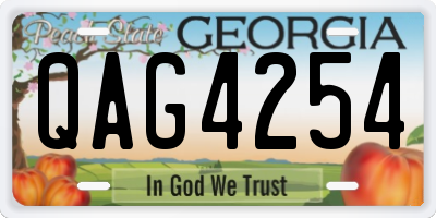 GA license plate QAG4254