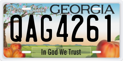 GA license plate QAG4261