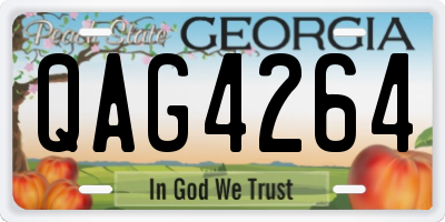GA license plate QAG4264