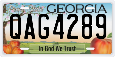 GA license plate QAG4289