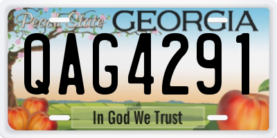 GA license plate QAG4291