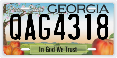 GA license plate QAG4318