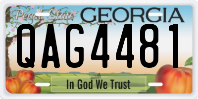 GA license plate QAG4481