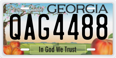 GA license plate QAG4488