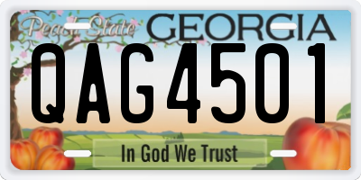 GA license plate QAG4501