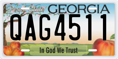 GA license plate QAG4511
