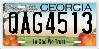 GA license plate QAG4513