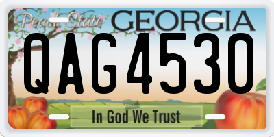 GA license plate QAG4530