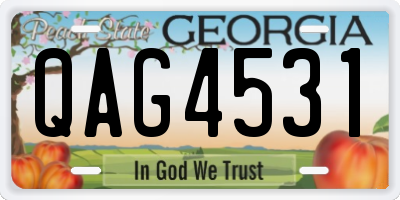 GA license plate QAG4531