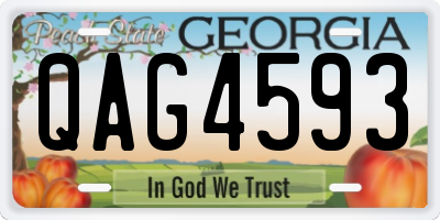 GA license plate QAG4593
