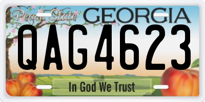 GA license plate QAG4623