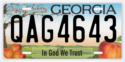 GA license plate QAG4643