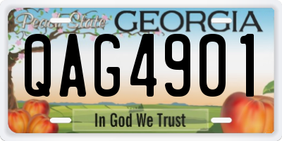 GA license plate QAG4901