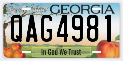 GA license plate QAG4981