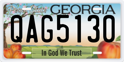 GA license plate QAG5130