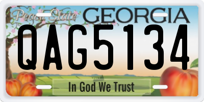 GA license plate QAG5134