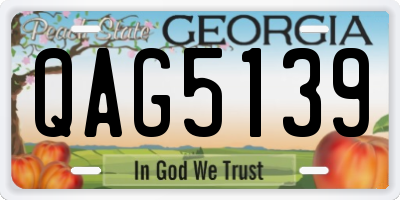 GA license plate QAG5139