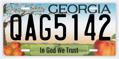 GA license plate QAG5142