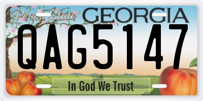 GA license plate QAG5147