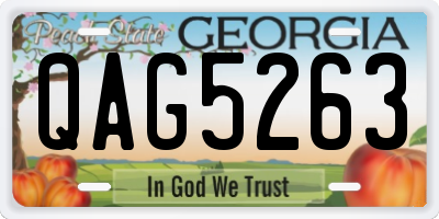 GA license plate QAG5263