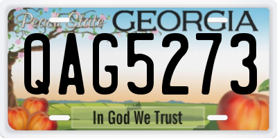 GA license plate QAG5273