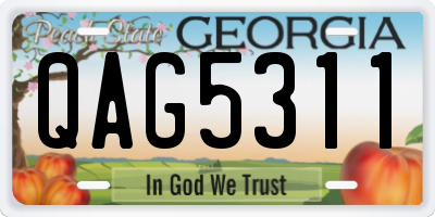 GA license plate QAG5311