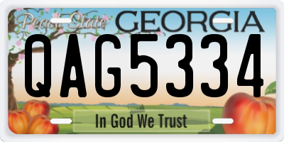 GA license plate QAG5334