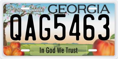 GA license plate QAG5463