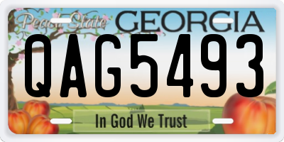 GA license plate QAG5493