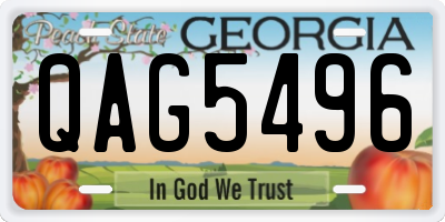 GA license plate QAG5496