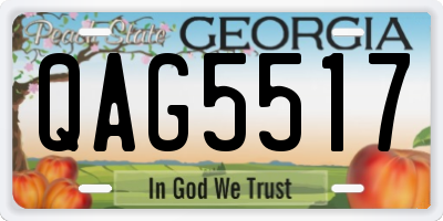 GA license plate QAG5517
