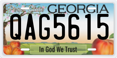 GA license plate QAG5615