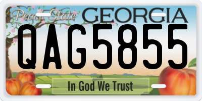 GA license plate QAG5855