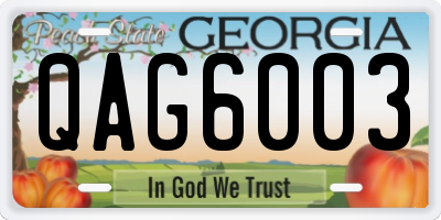 GA license plate QAG6003