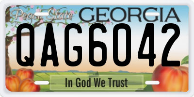 GA license plate QAG6042